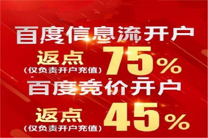 某行业巨头托管竞价sem的胜利之路